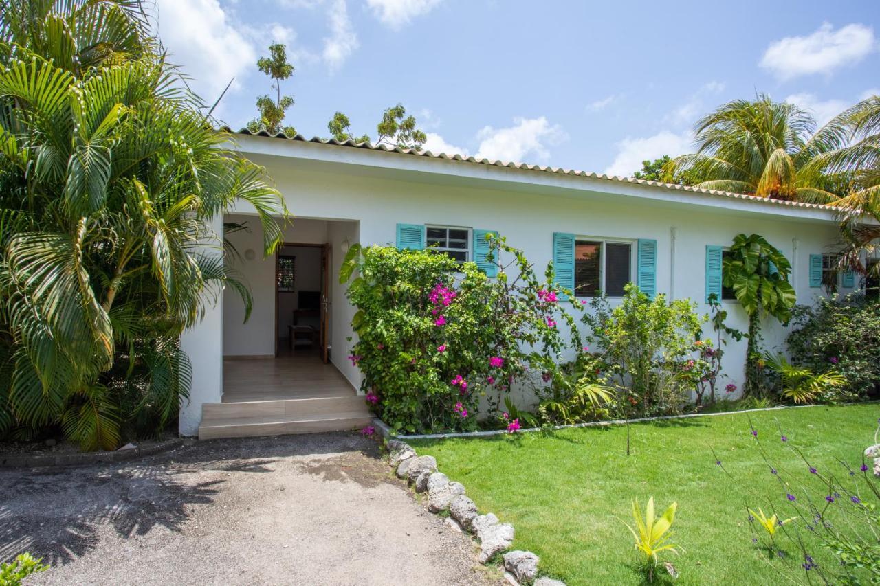Tuk Tropical Boutique Resort Jan Thiel Willemstad Exteriör bild